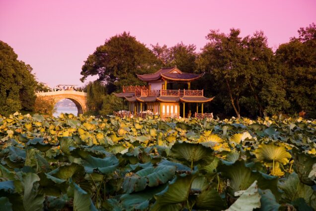 West Lake Lotus in the Breeze at Crooked Courtyard