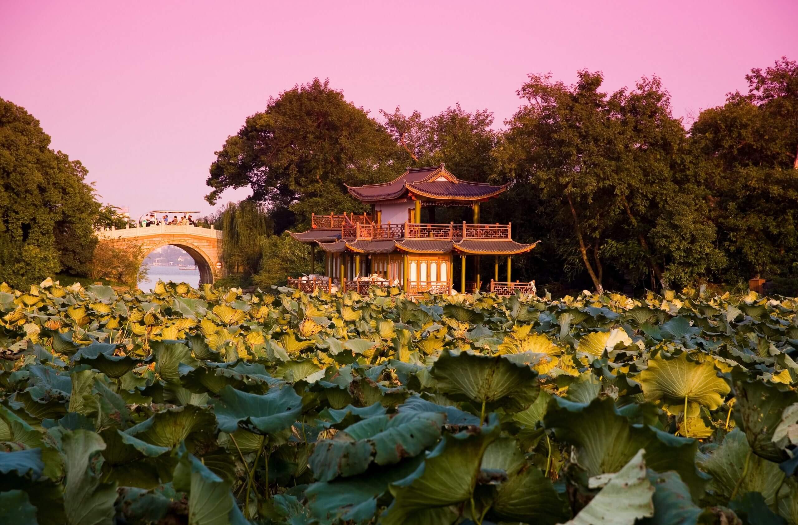 West Lake Lotus in the Breeze at Crooked Courtyard