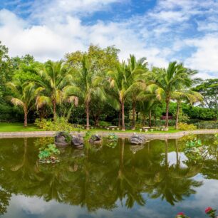 Xishuangbanna Tropical Botanical Garden