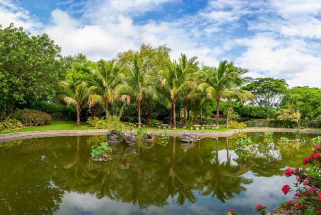 Xishuangbanna Tropical Botanical Garden
