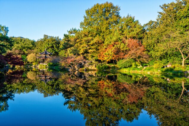 West Lake Viewing Fish at Flower Harbor