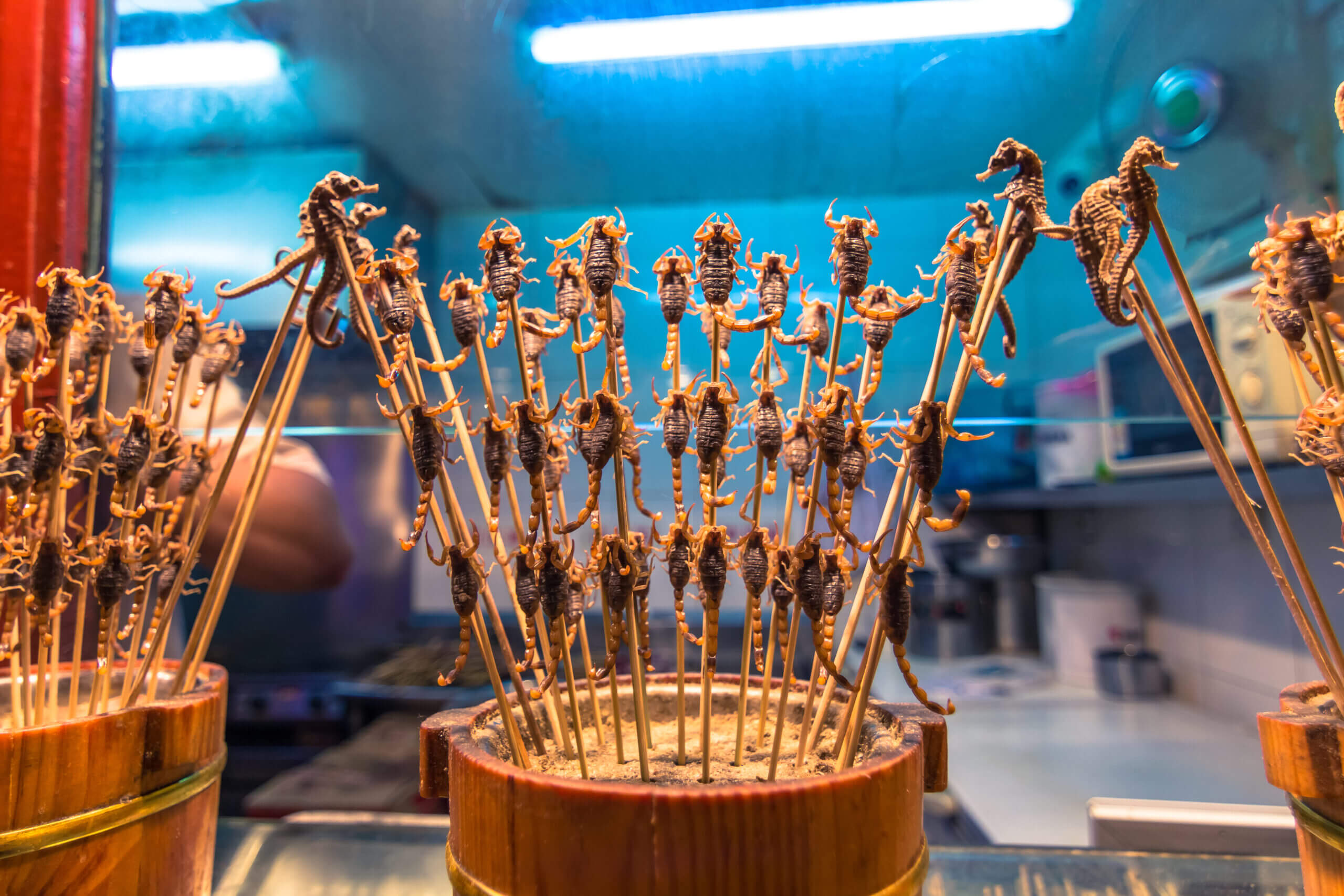 Wangfujing Fried Scorpions