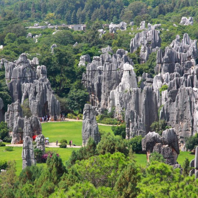 Stone Forest Scenic Area