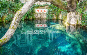 Dali Butterfly Spring