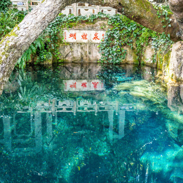 Butterfly Spring